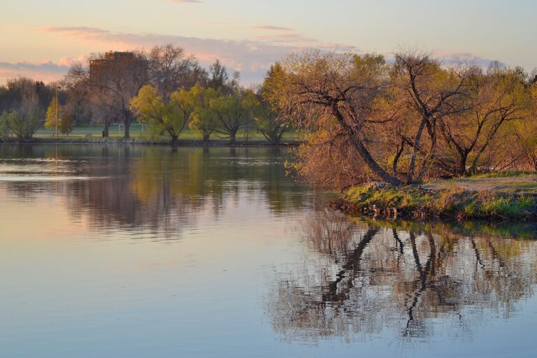 Denvers Sloan Lake Neighborhood