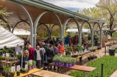 Denver weekend events May 9–11
