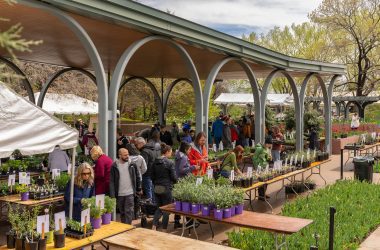 Denver weekend events May 9–11