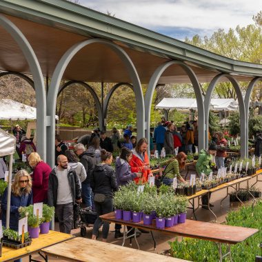 Denver weekend events May 9–11