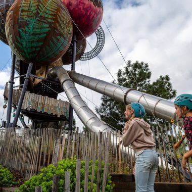 Kid-Friendly Summer Activities in Denver