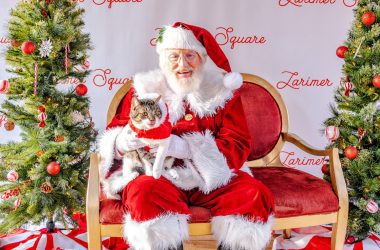 Denver Weekend Events Dec 5–7