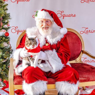 Denver Weekend Events Dec 5–7