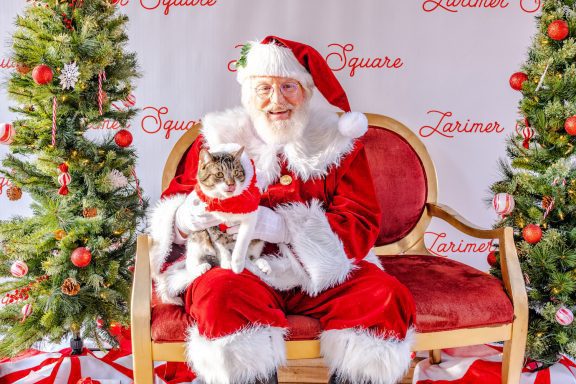 Denver Weekend Events Dec 5–7