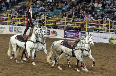 What to Do in Denver This Weekend Jan 9–11